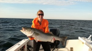 Bonnie 36lb