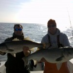 Fall Striper 2