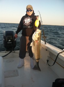 fig33lb