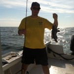Sea bass2