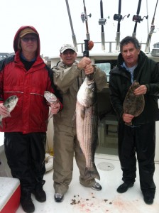 Stuart 27lb.