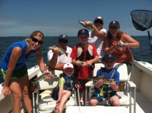 Family blowfish