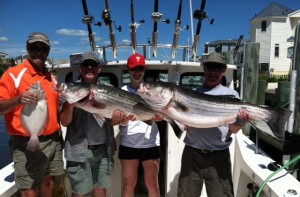 karl striper 5
