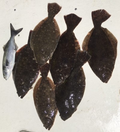 Fluke1